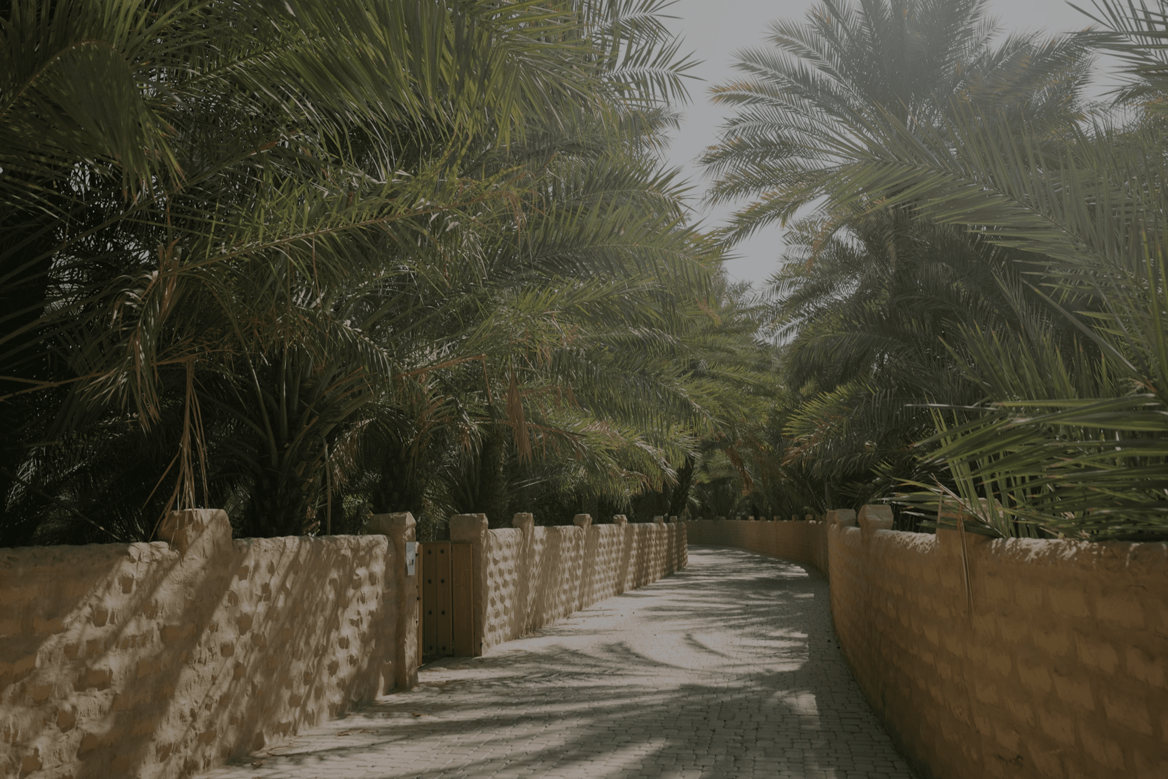 AL AIN