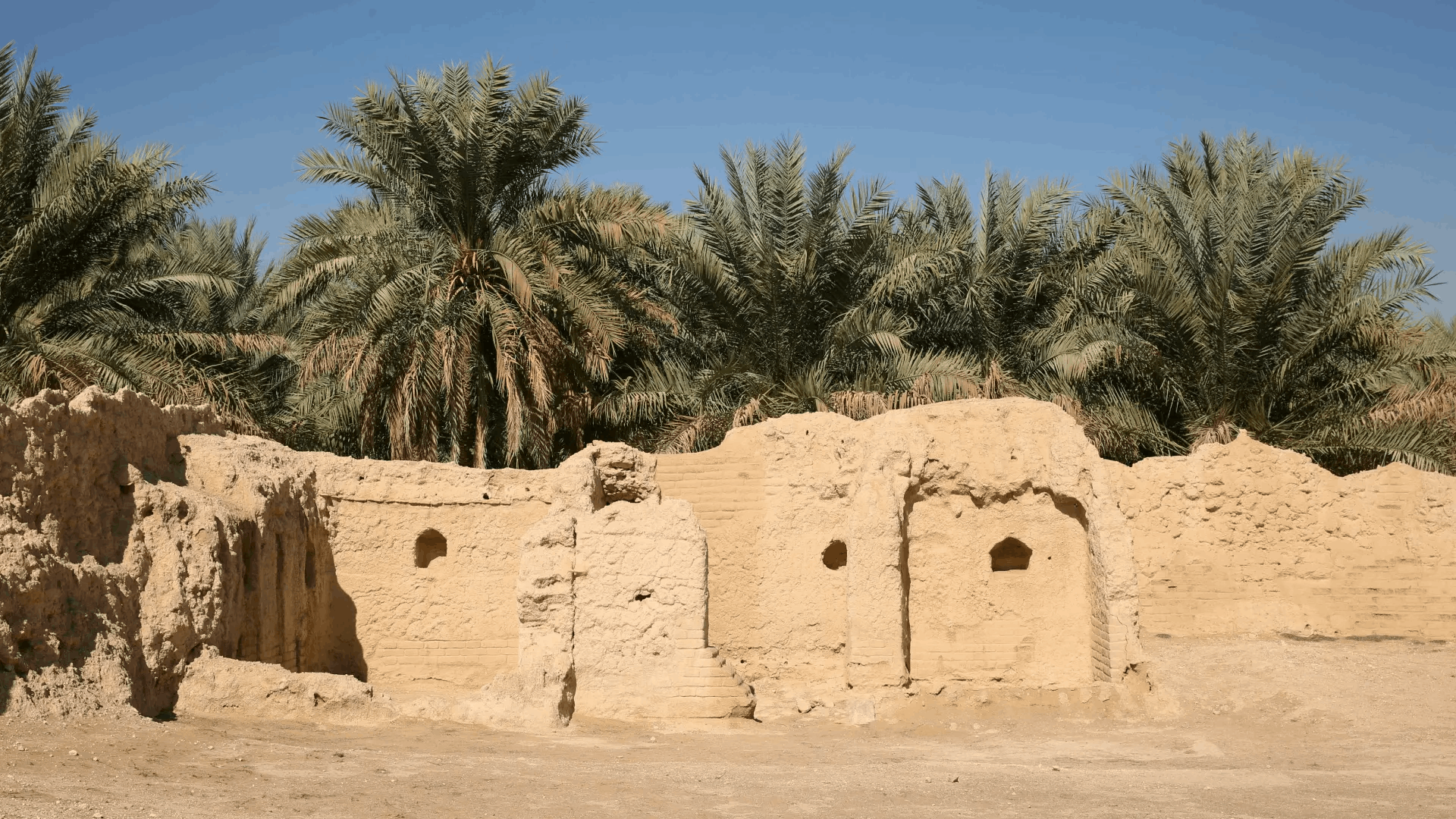 Palm grove and adobe ruins